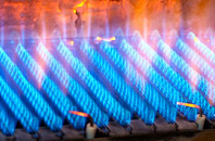 Wallridge gas fired boilers